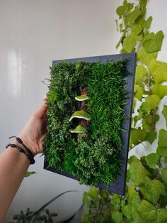 a person holding up a moss covered frame with mushrooms and plants in the middle on it