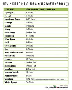 an info sheet with the top ten plants to plant for a year's worth of food