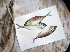 two fish are sitting on top of a piece of paper next to some driftwood