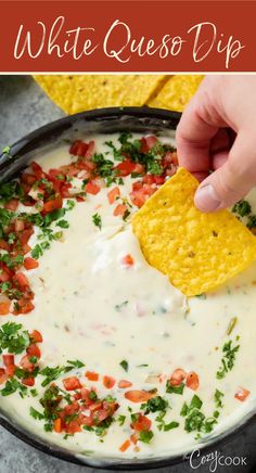 a tortilla chip being dipped with white quesadilla dip