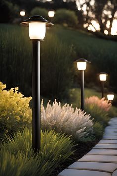 Elegant backyard lighting poles illuminating a garden path, creating a warm and inviting outdoor atmosphere. Path Lighting Ideas, Outdoor Pathway Lighting, Landscape Pathway Lighting, Garden Areas, Outdoor Lamp Posts, Post Lighting, Light Pole