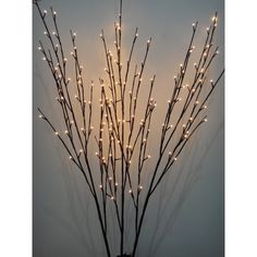 lighted branches in a vase against a white wall