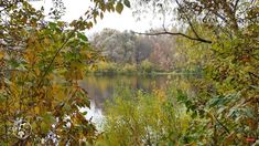 a lake surrounded by lots of trees and bushes