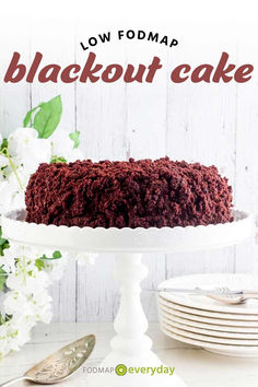 If you are looking for a very chocolaty experience in cake form, that happens to be easy to make, this Low FODMAP Blackout Cake is the perfect choice. Fodmap Sweets, Blackout Cake, Cake Form, Dairy Free Diet, Rich Chocolate Cake, Espresso Powder