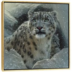 two snow leopards sitting in the middle of an ice covered cave, looking at the camera