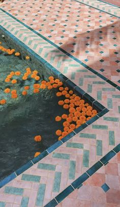 the orange flowers are floating in the water and on the tiled floor next to the pool