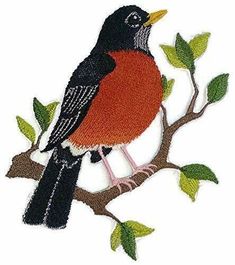 a red and black bird sitting on top of a tree branch