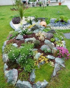 a rock garden in the middle of a yard with lots of plants and rocks around it