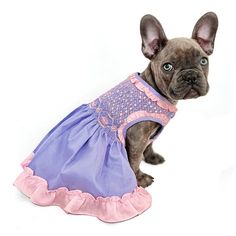 Hey Cupcake It's My Birthday Hand - Smocked Dress - Posh Puppy Boutique Hand Smocked Dress, Soft Lavender, Designer Dog Clothes, It's My Birthday, Pink Swarovski, Hand Smock, Puppy Clothes, Birthday Dress, Pink Ruffle