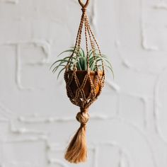 an air plant hanging from a rope with tassels