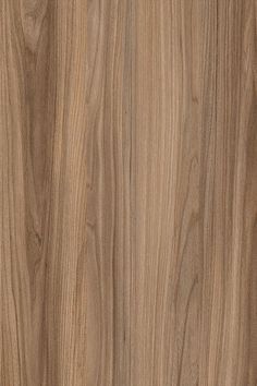 California elm wood decor from Schattdecor Rustic Wood Texture, Texture Interior Design, Elm Wood Furniture, Earthy Materials, Veneer Texture, Wood Texture Seamless, Tree Material, Japandi Interior Design, Wood Interior Design