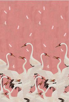 a group of white birds standing next to each other on a pink background with flying birds