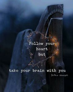 a wooden post with a string of lights on it that says follow your heart but take your brain with you