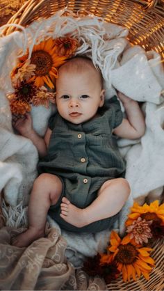 a baby laying in a basket with sunflowers