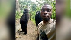 a man standing next to two gorillas on a dirt road in front of trees