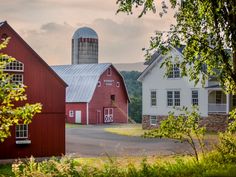 red barn and silo in rural setting with trees on the other side, surrounded by greenery