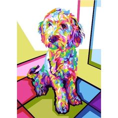 a dog that is sitting down on the floor in front of a mirror with colorful squares around it