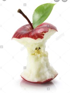 an apple cut in half with a green leaf on top of it stock photo - 959