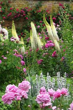 pink and white flowers in a garden next to a brick wall with red roses on it