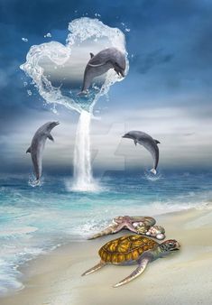 two dolphins and a turtle on the beach