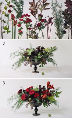 four different images of flowers in black vases with green stems and red flowers on them