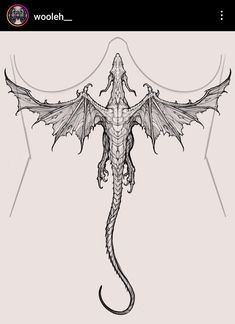 a drawing of a dragon with wings on it's back, and the tail is long