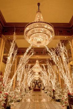 christmas trees and lights in the lobby of a hotel with chandeliers hanging from the ceiling