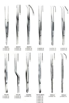 an image of different types of dental instruments