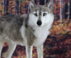 a gray and white stuffed wolf standing in front of a fall forest with leaves on the ground