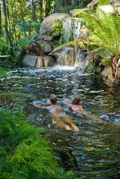 two people swimming in a river surrounded by lush green plants and rocks, near a waterfall