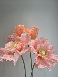 three pink flowers in a glass vase on a table