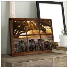 three black cows standing in front of a window with the sun shining through and behind them