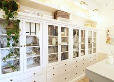 a large white cabinet with glass doors and plants on the top, in a kitchen