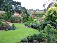 a lush green garden filled with lots of trees