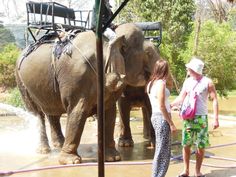 two women standing next to each other near an elephant