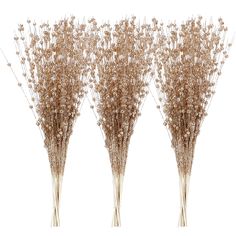 PRICES MAY VARY. Sparkling Glitter Twigs - Add a touch of elegance and fun to your holiday decor with these shimmering berry branches designed for Christmas trees. Use them to cover the top and any empty spaces on your tree for a dazzling effect Versatile Decoration - These branches covered in glitter aren't just for Christmas trees and wreaths! They also make beautiful vase fillers for floral arrangements and greenery centerpieces. Use them to add some sparkle to any decor year-round 17 Inches Branches Christmas Decor, Stem Ornaments, Christmas Tree Small, Greenery Centerpiece, Gold Branches, Gold Christmas Decorations, Advent Wreath, Decorative Beads, Vase Fillers