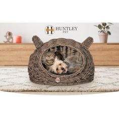 two cats and a dog in a wicker cat bed that is on the floor