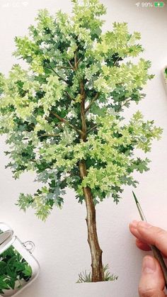 someone is painting a tree with watercolors