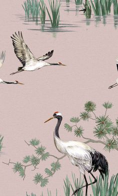 birds flying over water and plants on a pink background