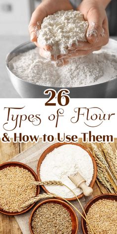 A collage of images with different types of flour for baking. Different Types Of Flour, Diy Flour, Flour Milling, Gluten Free Flours, Restless Chipotle, Cooking Substitutions, Lectin Free, Flour Substitute