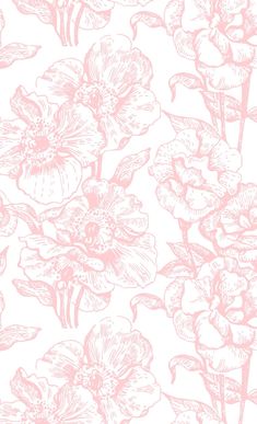 a pink flower wallpaper with white and pink flowers on the back ground, as well as