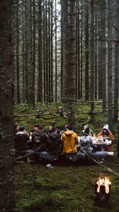 a group of people sitting around a campfire in the woods