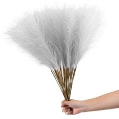 a hand holding a bunch of white feathers in it's left arm, against a white background