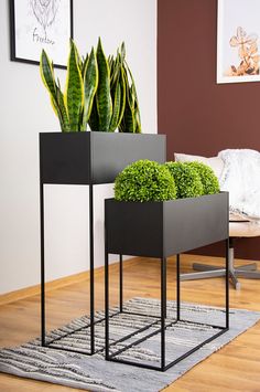 two black planters sitting on top of a wooden floor