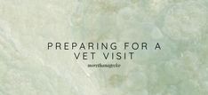 the words preparing for a vet visit written in black on a green marble wallpaper