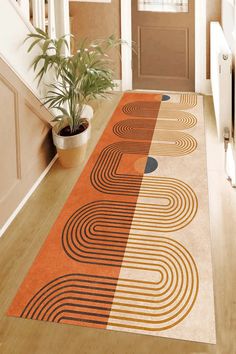 an orange and black rug on the floor next to a potted plant in front of a door