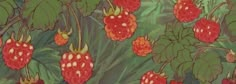 a painting of raspberries growing on a bush with green leaves and red berries