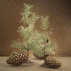 two pine cones are placed next to each other on a table with brown wall in the background