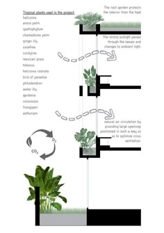 the diagram shows how plants can grow in different areas of the house and around them