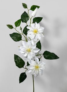 three white flowers with green leaves in a vase